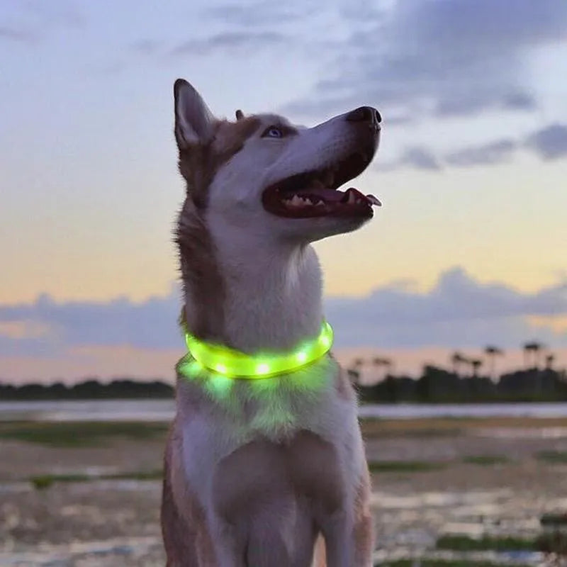 LED Luminous Dog Collar – USB Rechargeable, Waterproof PVC Safety Light for Night Walks