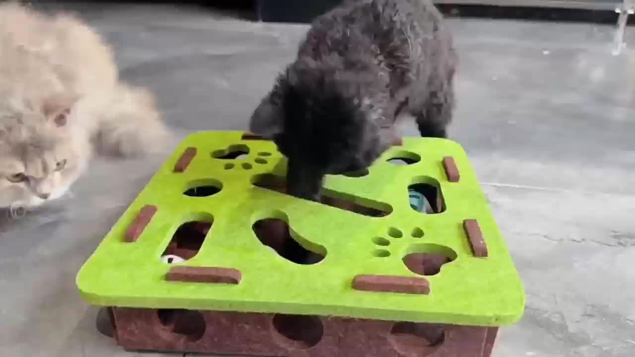 Interactive Cat Tunnel Toy – Felt Maze with Bell for Indoor Cats